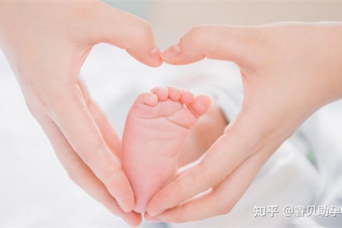 http://qingdao.51dzb.net/post/188.html|青岛新闻中心